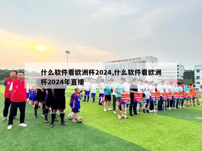 什么软件看欧洲杯2024,什么软件看欧洲杯2024年直播